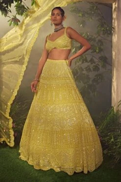 Lime Green Tulle Lehenga -Lillys Clothing Shop AA09 08 2310709