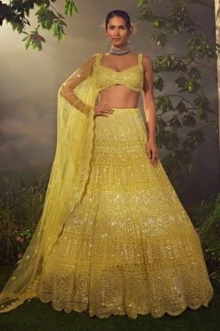 Lime Green Tulle Lehenga -Lillys Clothing Shop AA09 08 2310723
