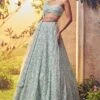 Mint Green Tulle Lehenga