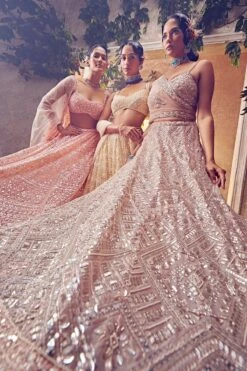 Dull Ivory Tulle Lehenga -Lillys Clothing Shop AA09 08 239777