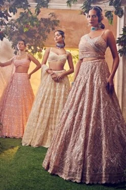 Dull Ivory Tulle Lehenga -Lillys Clothing Shop AA09 08 239804