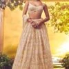 Dull Ivory Tulle Lehenga -Lillys Clothing Shop AA09 08 239804 1