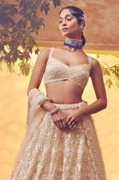 Dull Ivory Tulle Lehenga -Lillys Clothing Shop AA09 08 239805