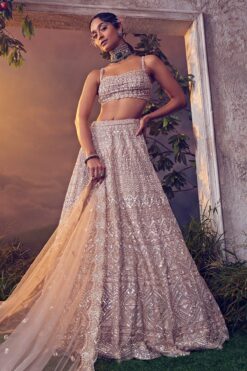 Taupe Organza Lehenga