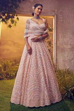 Crystal Pink Tulle Lehenga