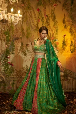 RAAT RANI Lehenga -Lillys Clothing Shop AAYUSHI6thOCT00044 1 700x fad170b5 7ade 4e88 916b cef01fa02dd6