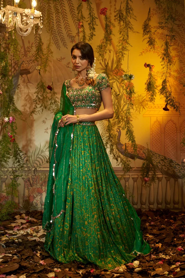 NEEM Lehenga 1 NEEM Lehenga
