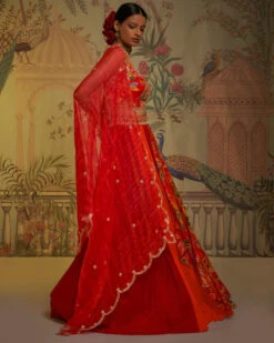 Red Orange Panel Lehenga -Lillys Clothing Shop AAYUSHIMANIAR13thecom4365 700x fa84e077 12ca 4dde 95ac 677f8d075cf4
