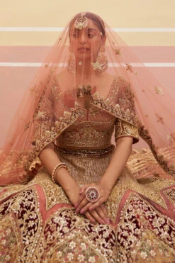 Onion Pink Organza Lehnga Set -Lillys Clothing Shop ANG0145 720x 27a0f149 531a 4000 8670 3e3544afa4ad