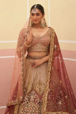 Onion Pink Organza Lehnga Set -Lillys Clothing Shop ANG0156 720x 88e6461f 9173 461d 8503 db03cc23bab7