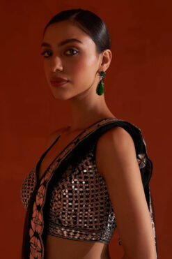 Black Net Saree -Lillys Clothing Shop ANG8207 720x 0fa2c20c 78c2 4a6d 843a 0dab70ae33d1