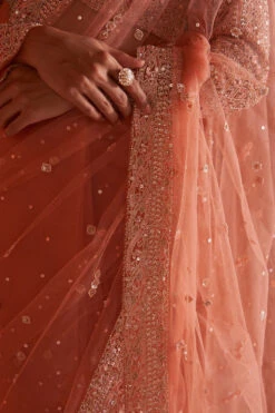 Pastel Orange Net Saree -Lillys Clothing Shop ANG8318 720x 172b0731 7d26 4c9c 8f2a 978a56a3d2ba