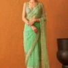 Sea Green Net Saree -Lillys Clothing Shop ANG8726 720x 7ef3d564 75e9 4ec2 a45a 85abc07e550a