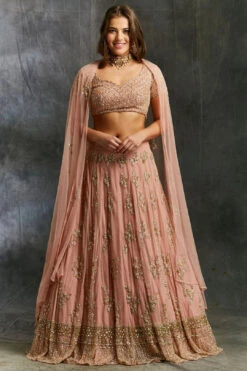 Peach Sequins Jaal Border Lehenga