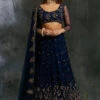 Midnight Blue Net Sequin Shimmer Lehenga -Lillys Clothing Shop ANSC201919 1