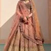 Mustard Organza Double Duppatta Lehenga Set