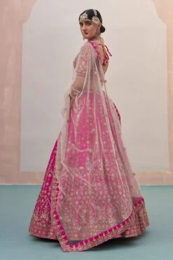 Rani Pink Double Dupatta Lehenga Set -Lillys Clothing Shop ASL8225
