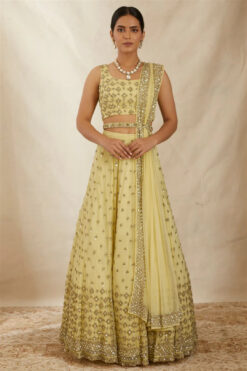 Yellow Shimmer Lehenga Set