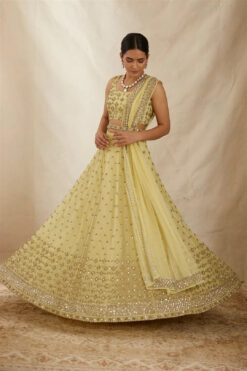 Yellow Shimmer Lehenga Set -Lillys Clothing Shop ASTC1022100 4