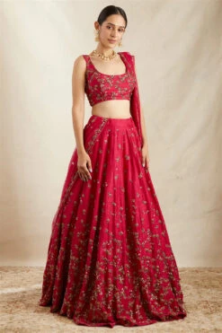 Carmine Pink Raw Silk Lehenga Set -Lillys Clothing Shop ASTC1022102 1 d4c49b92 a5b1 4ecc b1d3 58556af16665