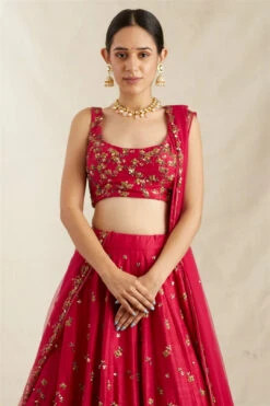 Carmine Pink Raw Silk Lehenga Set -Lillys Clothing Shop ASTC1022102 3