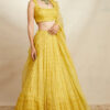 Mustard Organza Lehenga Set -Lillys Clothing Shop ASTC1022107 1