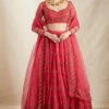 Carmine Pink Organza Lehenga