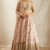 Peach Pink Raw Silk Lehenga Set -Lillys Clothing Shop ASTC102299 1