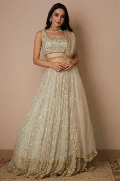 Light Grey Organza Lehenga Set
