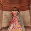Hot Pink Banarsi Woven Lehenga -Lillys Clothing Shop AditiGuptaA04.03.230630