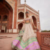 Powder Pink Bandhani Banarasi Chevron Lehenga