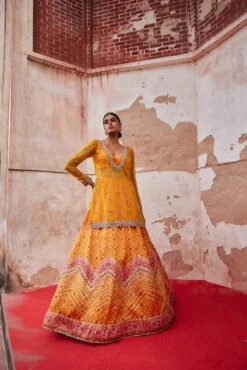 Mustard Patola Chevron Lehenga With Kurta
