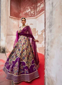 Jamuni Woven Banarsi Jharoka Lehenga
