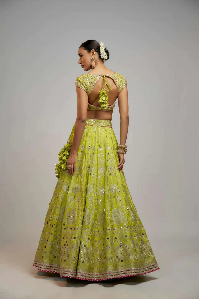 Golconda Nayla Lehenga Set 5 Golconda Nayla Lehenga Set - Image 5