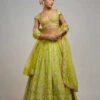 Golconda Nayla Lehenga Set