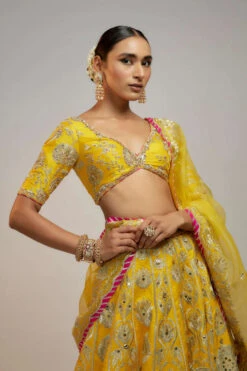 Golconda Anha Lehenga Set -Lillys Clothing Shop CopyofGOVA112317 5 640x crop center 52f6ddfb 8660 490b bbbb abb5366582a9
