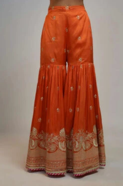 Golconda Aashna Sharara Set -Lillys Clothing Shop CopyofGOVA112320 3 640x crop center 91b54e9f 2dc3 49ea 8649 12ad763a14e1