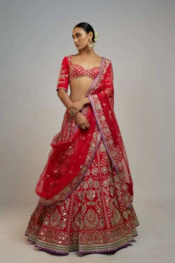 Golconda Jasmin Lehenga Set -Lillys Clothing Shop CopyofGOVA112326 4 640x crop center ff67918f a28a 42c3 8daf 69fc275d41bf