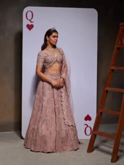 ESME Lehenga Set 12 ESME Lehenga Set -Lillys Clothing Shop DA 00656 500x e6c90093 5788 40d6 80de 2ce4a625d592