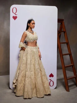 ESTHER Lehenga Set -Lillys Clothing Shop DA 00815 500x 561c551b d9ab 4851 92a3 195f330c8938