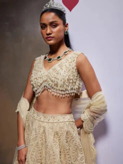 ESTHER Lehenga Set -Lillys Clothing Shop DA 00818 500x 25ea3862 9639 4f5a 9001 503c154a0158