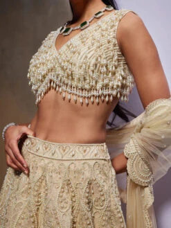 ESTHER Lehenga Set -Lillys Clothing Shop DA 00820 500x 89f2710b 2d10 4f02 ac61 f470940cc54b