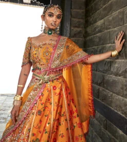 Mustard Kani Embroidered Lehenga -Lillys Clothing Shop DSC08617