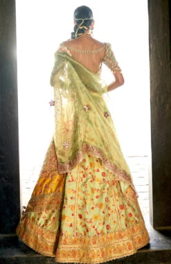 Pista Kani Embroidered Lehenga -Lillys Clothing Shop DSC08839