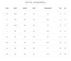 DIANA Saree Set -Lillys Clothing Shop DivyaAggrawal 72a95948 2ebb 449f a384 3b073b7af214