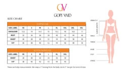 Ayana Saree -Lillys Clothing Shop GopiVaid 0e26aac5 d7a7 4bb3 8293 bbe50c05dcf3