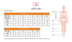 Golconda Aashna Sharara Set -Lillys Clothing Shop GopiVaid 480x480 da5054ed 2ce9 49ff 9855 3d1adf54d373