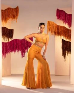 Embroidered Corset With Gharara Set -Lillys Clothing Shop HAR09866 1800x1800 c5584dea 0e30 410f 99d6 e0f12f67d01a