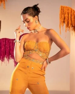 Embroidered Corset With Gharara Set -Lillys Clothing Shop HAR09875 1800x1800 b88adb12 e88d 4213 8f49 081a8635bcbf