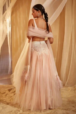 Pink Embroidered Lehenga Set -Lillys Clothing Shop HOE6 10 22 0462copy 1800x1800 550faf53 0461 450a afa9 5e6f2ff6f78f